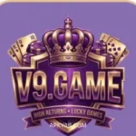 V9 Game